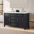 Reajean 54" Double Vanity-105509247