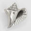 2" Conch Shell Right Facing Knob-39948747