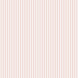Little Explorers 2 Small Stripe Wallpaper Roll