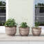 Lapis Pot Planter - Set of 3-1424471086