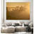 " 20220809 Dsf8002 1 " by Hamed