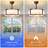 19'' Modern Ceiling Fan With Light-1262833569