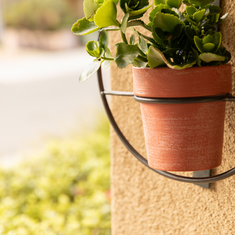 Ensemble de pots à fleurs suspendus en métal 2 pièces Saban