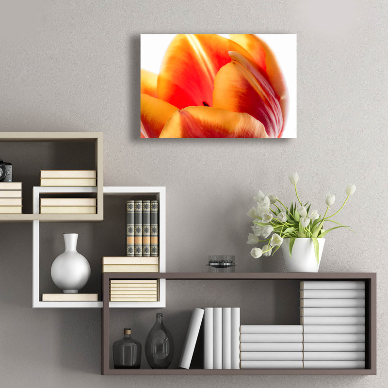 «Just A Peek» par Pamela Plummer, H 16 po x l 24 po x P 0,2 po