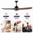 Quiet Reversible DC Motor Aviation Inspired Modern Ceiling Fan No Light Matte Black