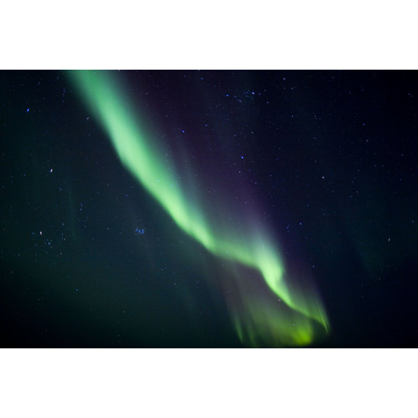 Ebern Designs Overhead Northern Lights | Wayfair