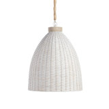 1 - Light Pendant