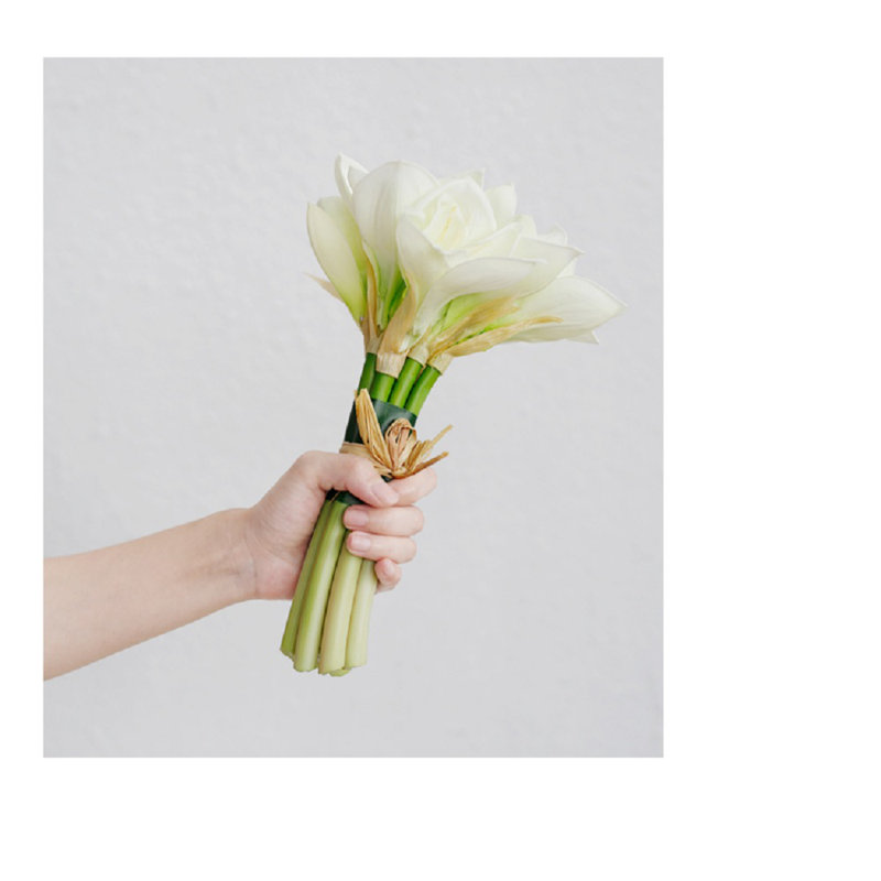Agencements de fleurs lilies et maîtresses en vase
