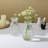 Odriscoll Glass Table Vase