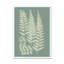 Ferns On Sage III by Vision Studio - Painting on Canvas-1177907868-1177907864