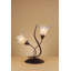 Knauss Metal Lamp