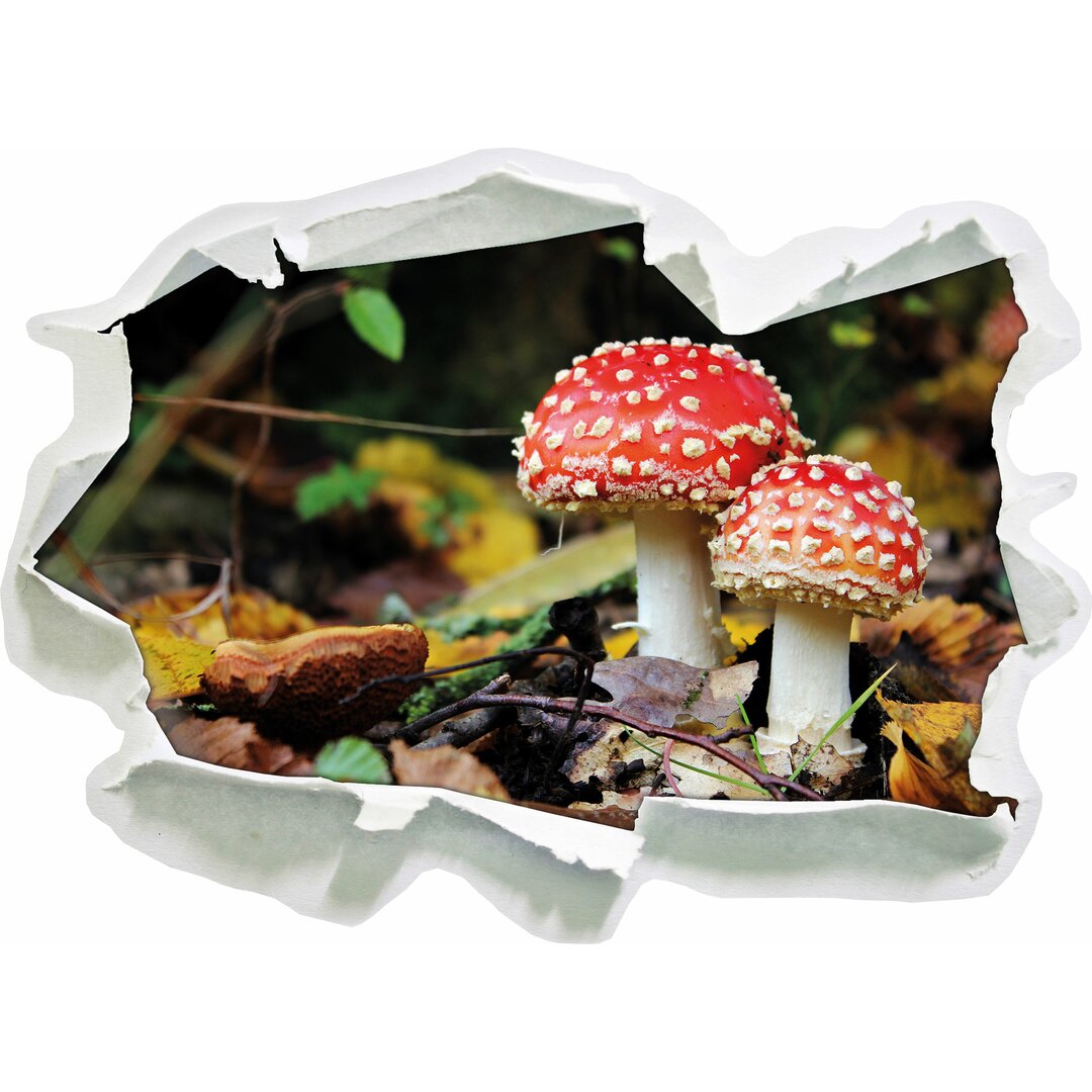 Wandtattoo Pilz im Wald