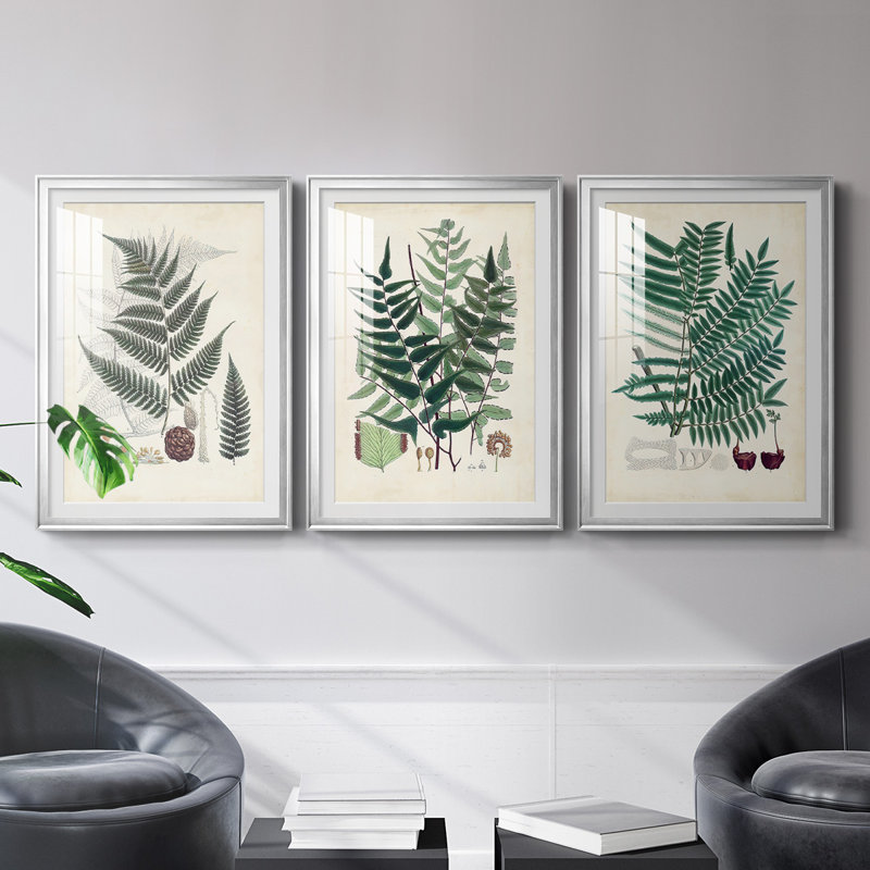 «Ferns VI», reproduction encadrée de qualité supérieure, prête à être accrochée, Cadre argenté