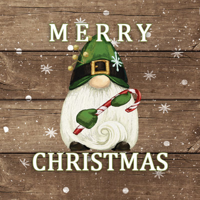 Christmas Green Gnome - Wrapped Canvas Print