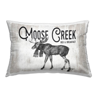 Outdoor Throw Pillow