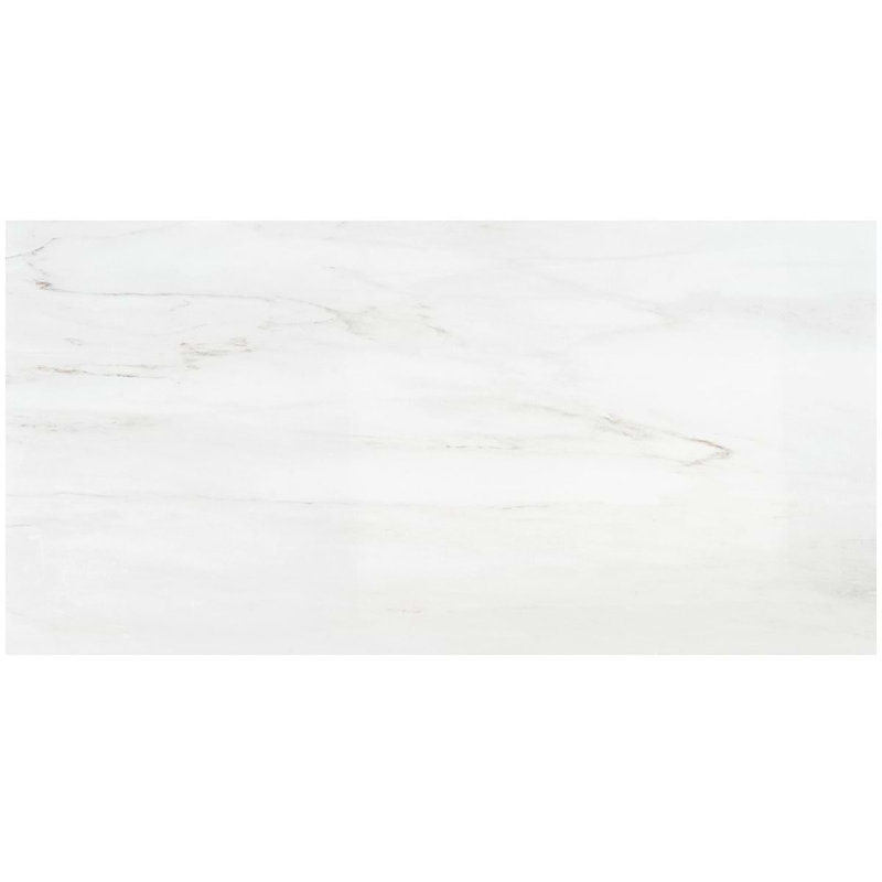 Dreamstone 24X48 Polished Porcelain Tile, Dolomite Snow Polished