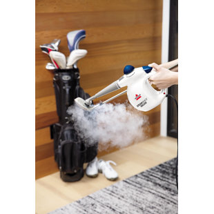 https://assets.wfcdn.com/im/55080433/resize-h310-w310%5Ecompr-r85/2489/248913904/steam-shot-handheld-steam-cleaner-sanitizer.jpg