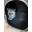 Felt Donut Cat & Dog Bed With Breather Hole – 2-in-1 Hideaway Tunnel & Interactive Play Toy-1493117539