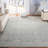 Paschke Performance Oriental Rug-641430129