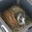 Rabbit Hutch Bunny House intérieur / extérieur, avec rampe antidérapante, gris-128929905