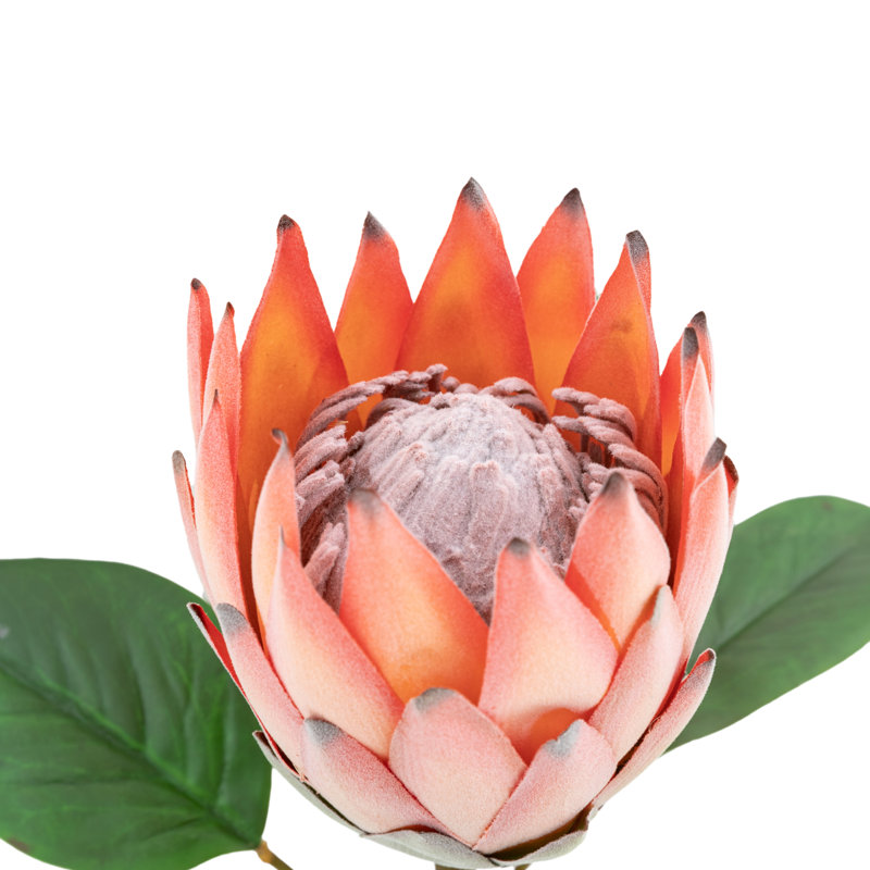 Faux Stem Tropical Arrangement 470mm (12pk), Orange
