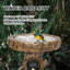 Bain d'oiseaux en résine Lekevia