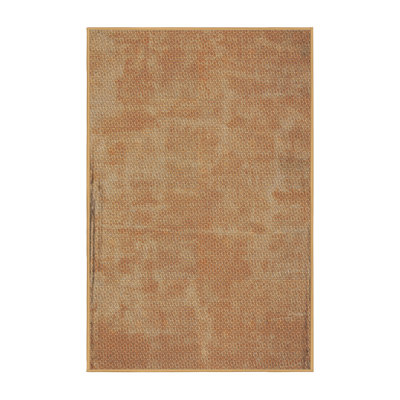 Indoor Rug