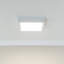 Cirone Plastic LED Flush Mounted Sconce-836566432