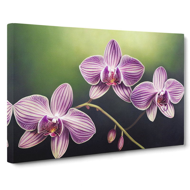 Supreme Orchid Flowers - Wrapped Canvas, 50cm H x 76cm W x 3cm D