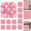 Fabric-124830029