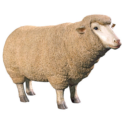 Statue ovine head up Merino Ewe Life Size