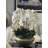 Blaze Bowl With Phalaenopsis Orchids-111971912