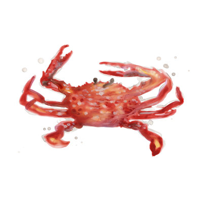 Crab Cameo IV 1 Piece Painting on Canvas