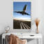 Mehar Landing Jet-108670383