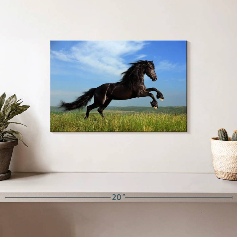Brampt superbe cheval frison, H 8 po x l 12 po