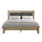 Tevrat Queen Platform Bed with Headboard