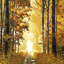 «Sunlit Forest I», impression sur toile-20893413-73160009-73160010
