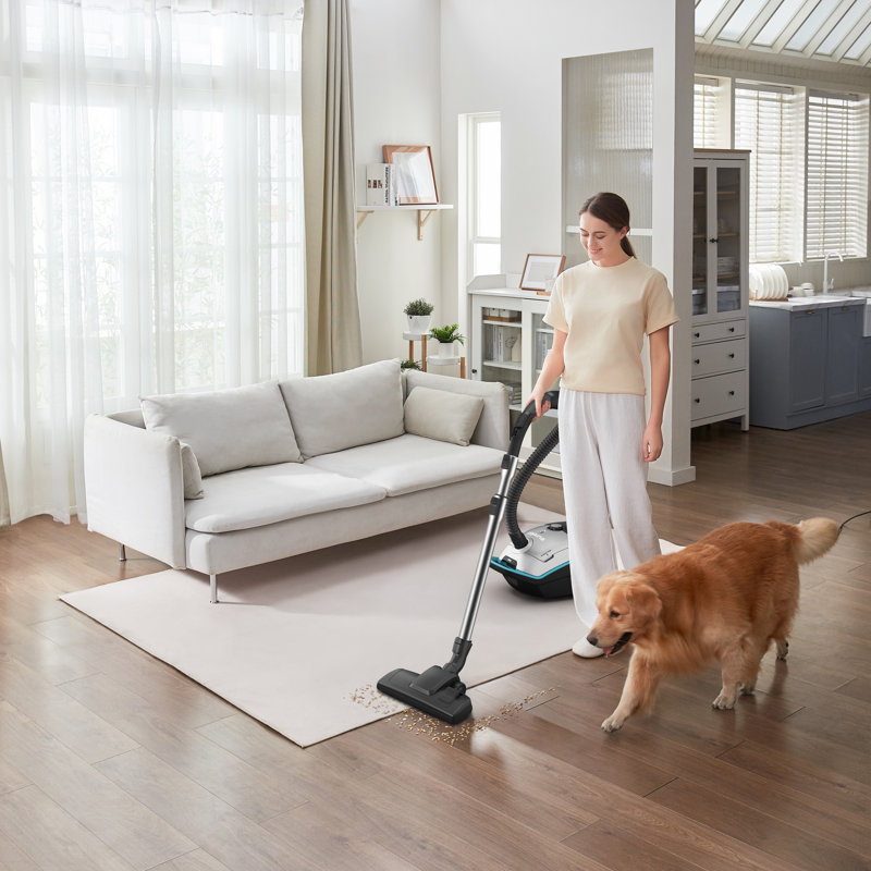 Aspirateur traîneau NEN170, adapté aux animaux de compagnie, léger pour les tapis et les planchers durs, filtre HEPA