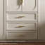Garde-robe moderne simple de couleur unie-110440360