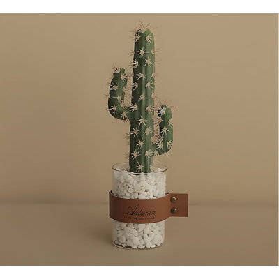 Cactus 9,44 po