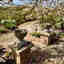 Customer photo 2 of 3