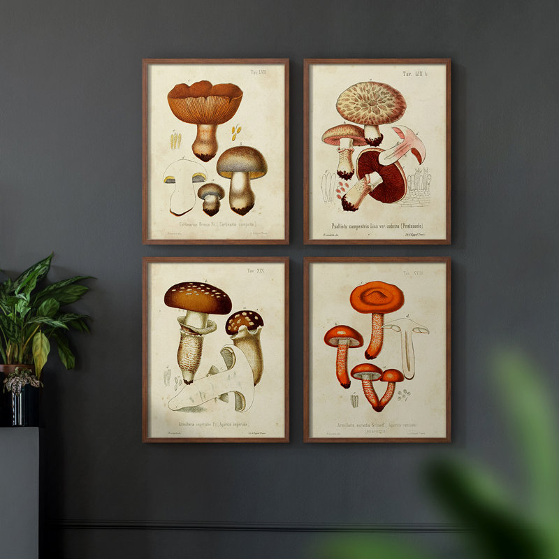 «Mushroom Variétés I», ensemble de 4 encadrées, H 14 po x l 44 po, Noyer
