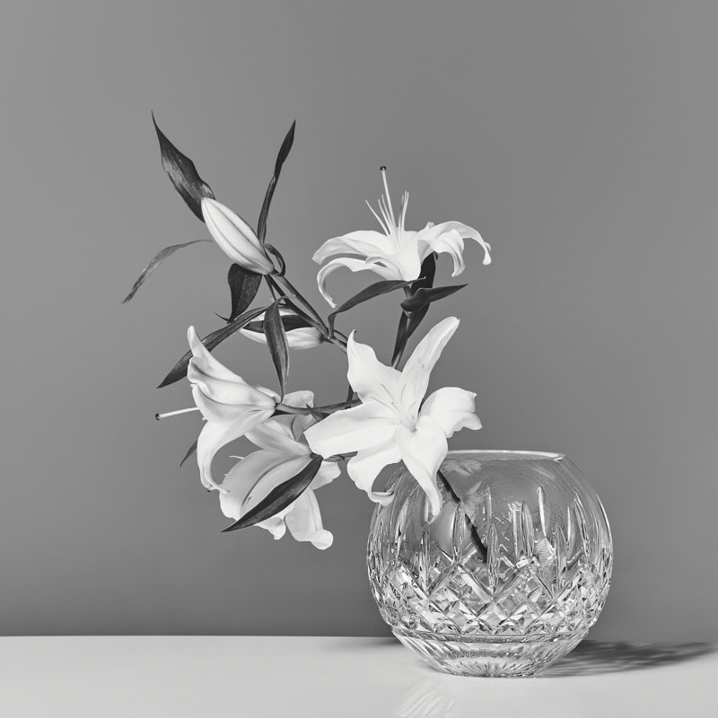 Waterford Lismore Rose Bowl 6in, 7.01" H x 8.07" W x 8.07" D