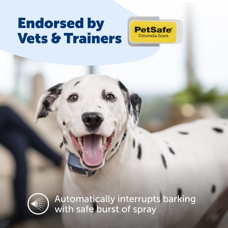 PetSafe Spray Refill Cartridge, Citronella, 3-Pack