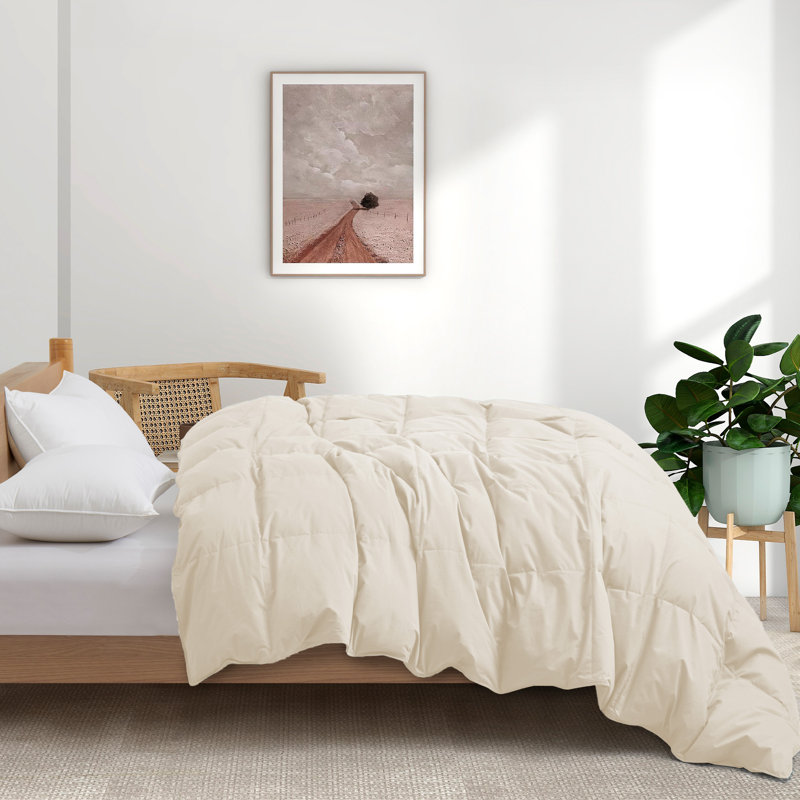 All Season Cotton Down Comforter/Duvet Insert, King Comforter, Navy