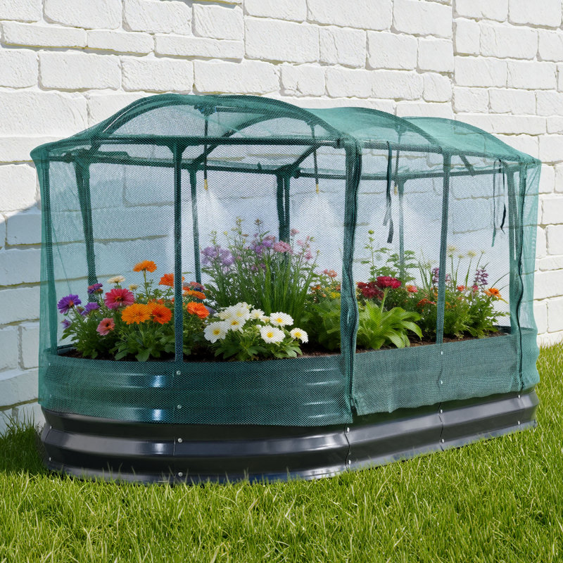 Galvanized Raised Garden Bed, 6 x 3 x 1 ft, with Self Watering System and Mesh Cover, Oval Metal Planter Box Kit Outdoor, Rustproof Alu-Zinc, for Planting Flowers Fruits Vegetables, Dark Gray
