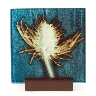 Glass Square 1 Piece Coaster