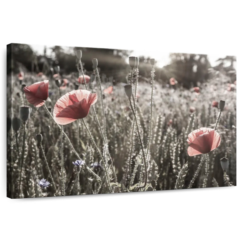 Harnek Poppy Impression rétro couleur pop, H 34 po x l 51 po