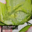 Branche aquarelle avec feuilles et fleurs botaniques bourgogne rose avec 12 crochets-2039199343