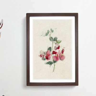 Illustration of Pink Sweet Pea Flowers - Picture Frame Painting Print